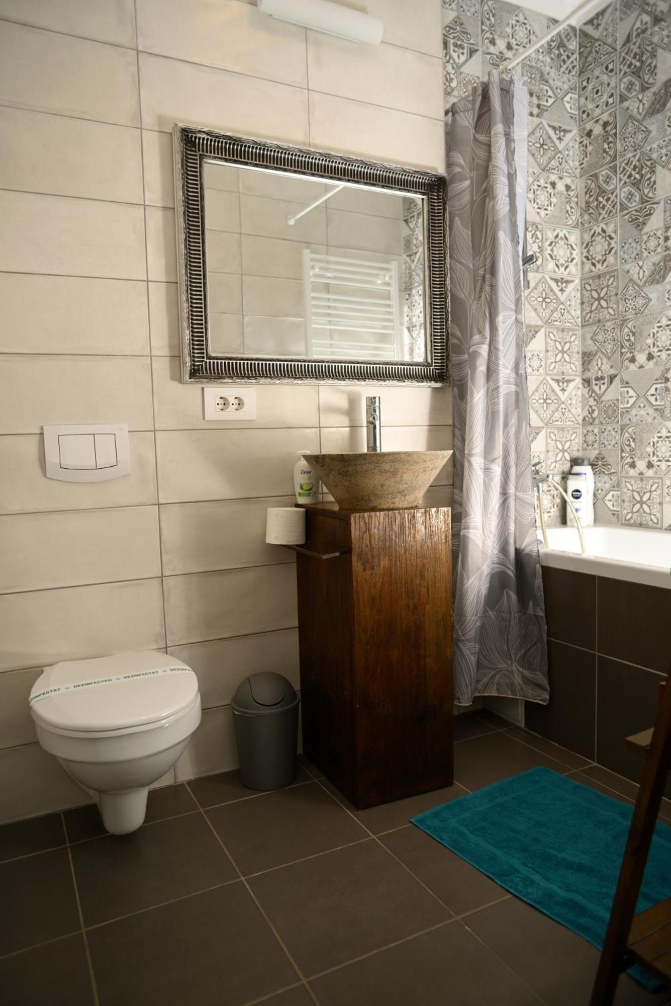 Mirvana Apartments Metheor Executive Suite Timisoara Luaran gambar